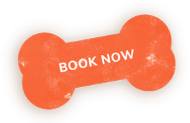 https://waggyhotels.com/wp-content/uploads/2019/08/book_now_shadow.png