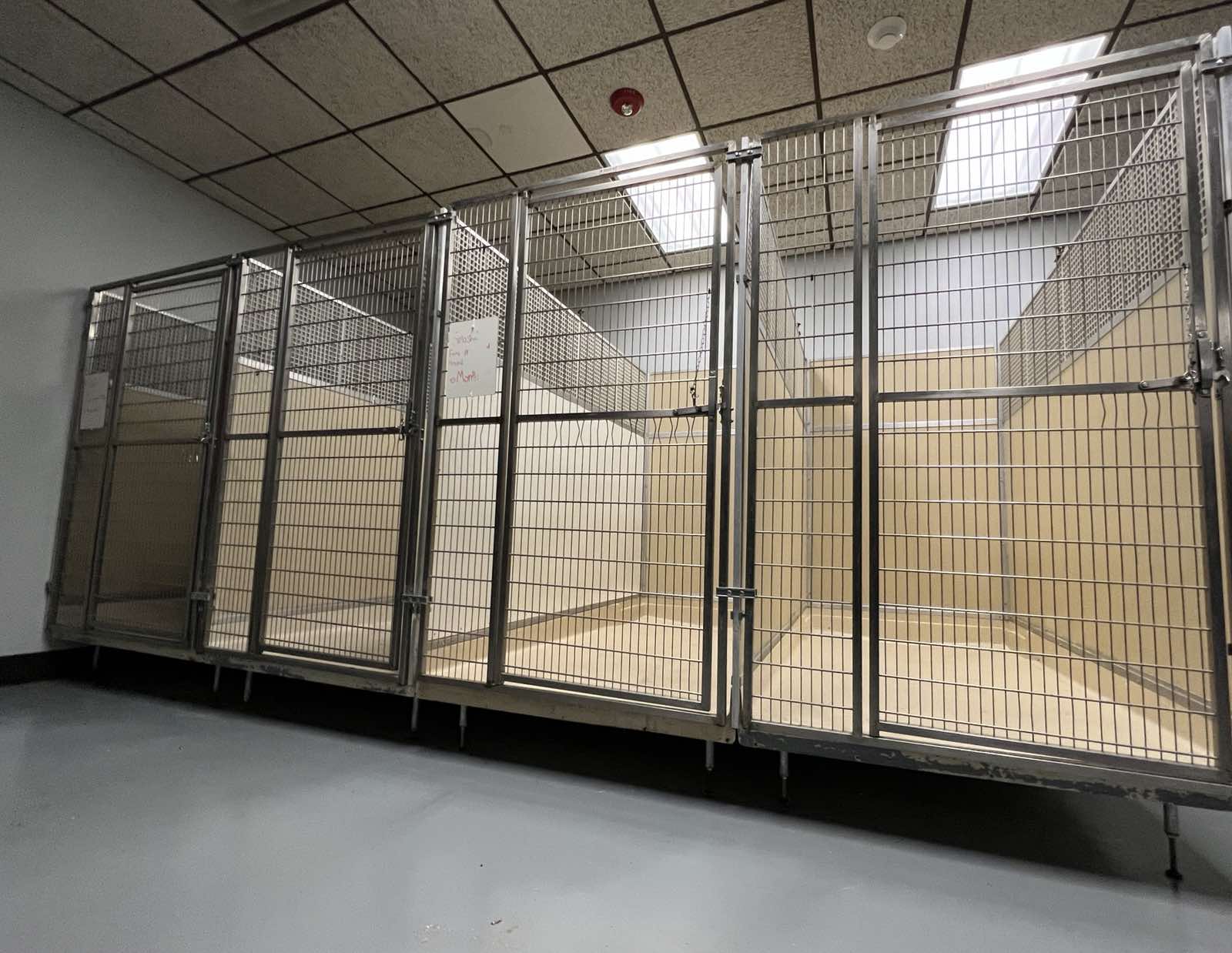 Portfolio Archive | Waggy hotels