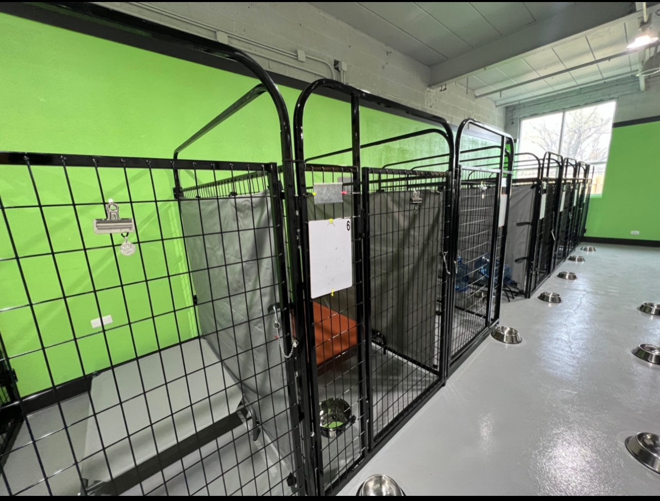 GALLERY | Waggy hotels